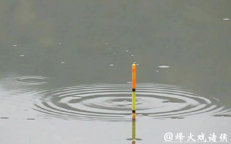 别再乱提竿!小飞哥拆解四大漂相:抓住这一种,中鱼率飙升95% 别再乱提竿!小飞哥拆解四大漂相:抓住这一种,中鱼率飙升95%